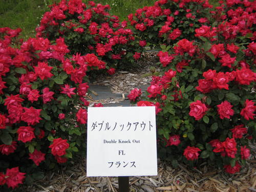 f0061334_2230653.jpg