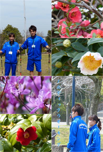 f0292335_12262676.jpeg