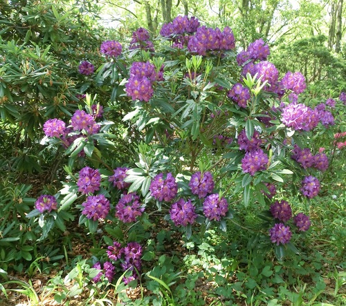 f0237037_11283563.jpg