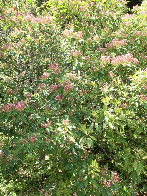 f0237037_1131566.jpg
