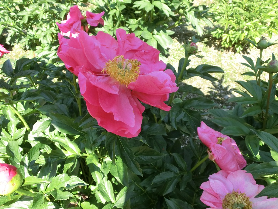 f0237037_11372696.jpg