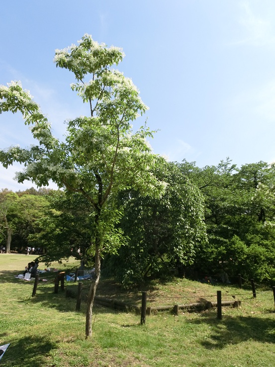 f0237037_11425329.jpg