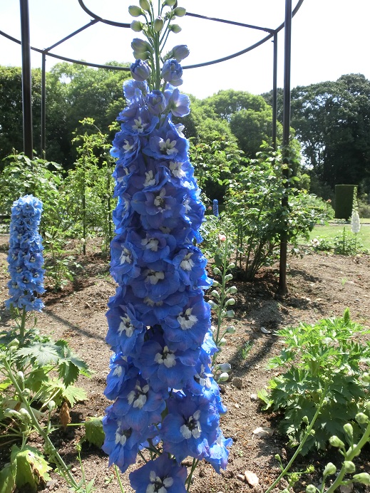 f0237037_1146291.jpg