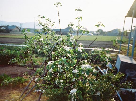 a0031338_2303359.jpg