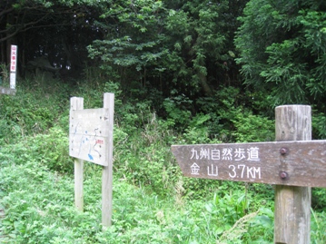 c0077338_20394743.jpg