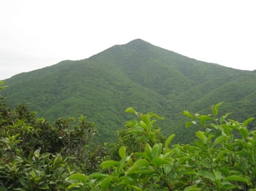 c0077338_20404450.jpg