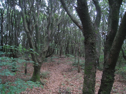 c0077338_204055.jpg