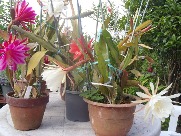 a0054240_23421134.jpg