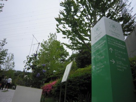 c0025140_1985316.jpg