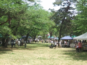 b0234545_20442620.jpg