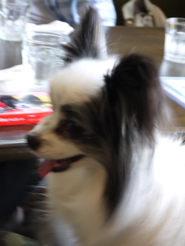 e0100046_08559.jpg