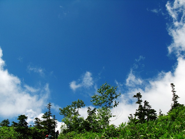 e0199046_18364153.jpg