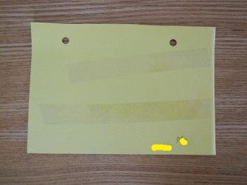e0269946_9364386.jpg
