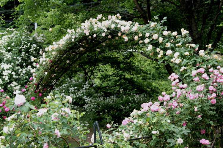 a0258549_028034.jpg