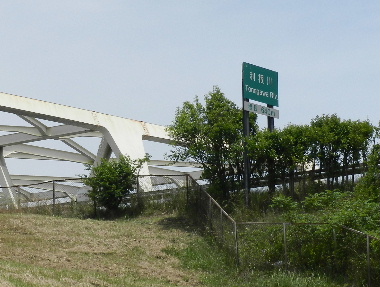 e0172950_1822759.jpg