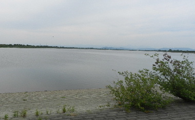 e0172950_185486.jpg