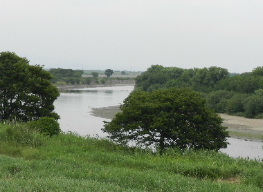 e0172950_185967.jpg