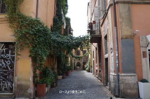c0206352_2441746.jpg