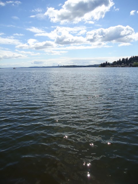d0172957_22585385.jpg