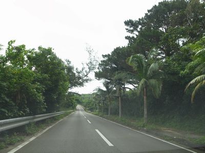 c0198559_1947477.jpg