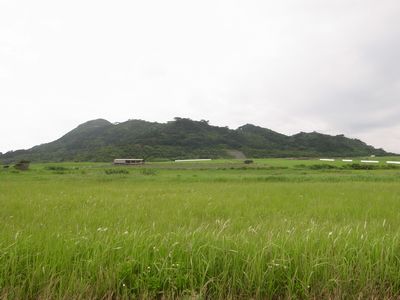 c0198559_19485061.jpg