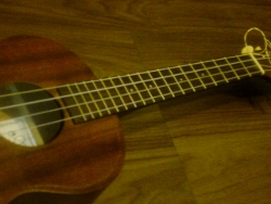 c0100362_0392354.jpg