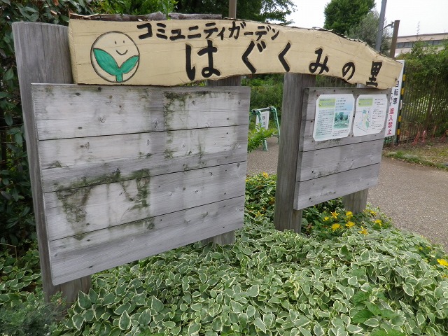 e0078069_18284946.jpg