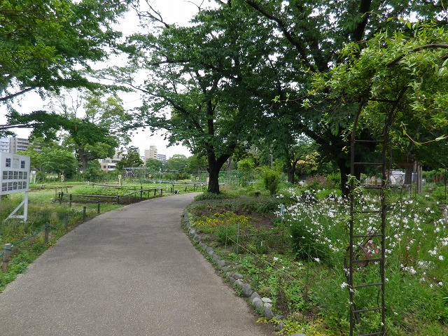 e0078069_18285460.jpg