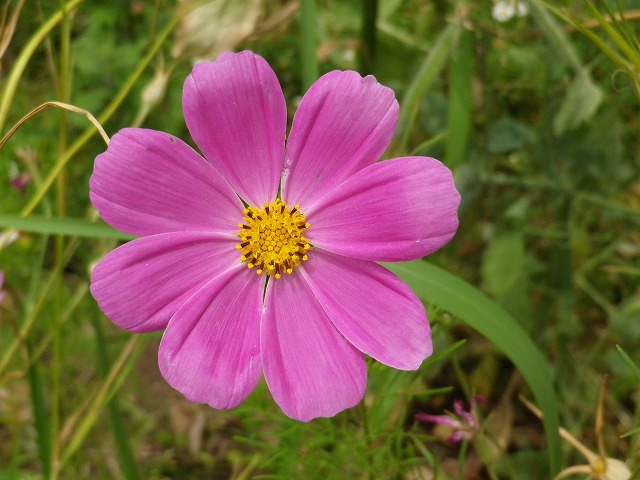 e0078069_1831180.jpg