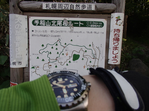 f0130376_1345344.jpg