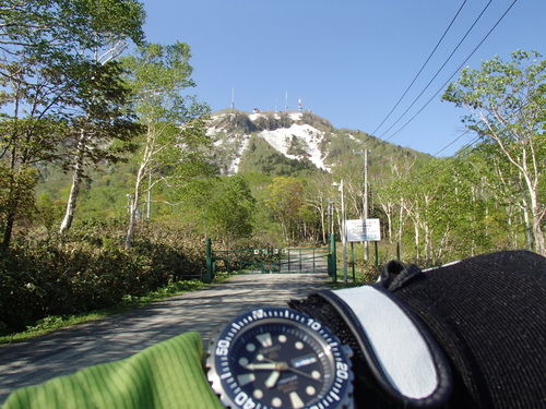 f0130376_13453623.jpg