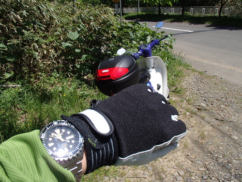 f0130376_1352464.jpg