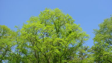 b0224081_22162097.jpg