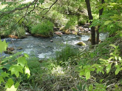 b0224081_22264272.jpg