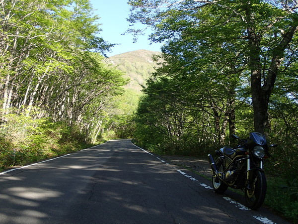 a0279883_23174712.jpg