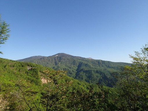 a0279883_7135129.jpg