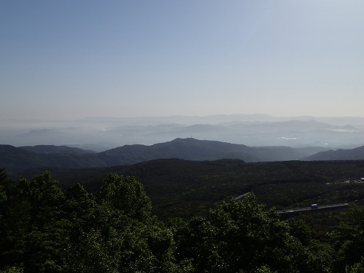 a0279883_7203499.jpg