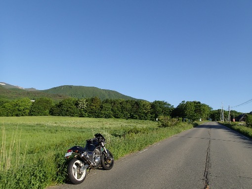 a0279883_795870.jpg