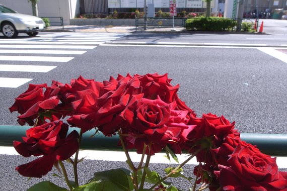b0160184_21344984.jpg