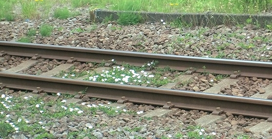 e0143690_722796.jpg