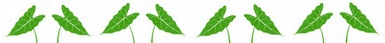 e0143690_72569.jpg
