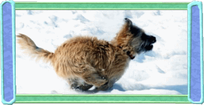 a0157892_20135430.gif