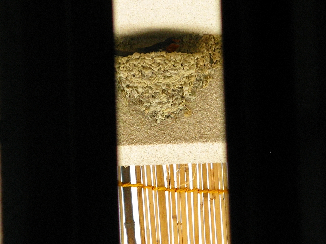 f0181394_20204891.jpg