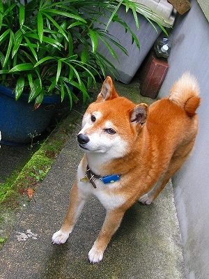 f0181394_20331430.jpg