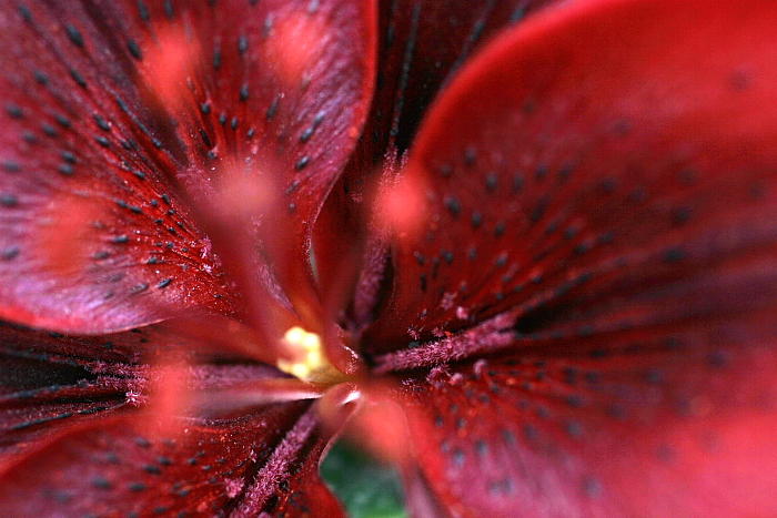 f0083400_23271254.jpg