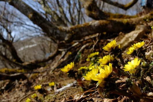 e0304001_1734318.jpg