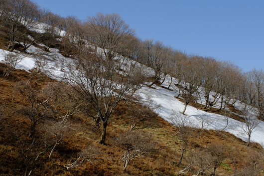 e0304001_17361551.jpg