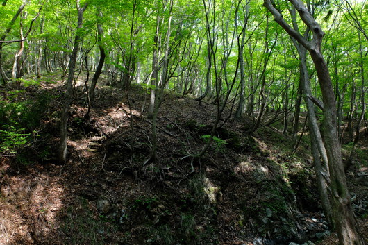 e0304001_19355342.jpg