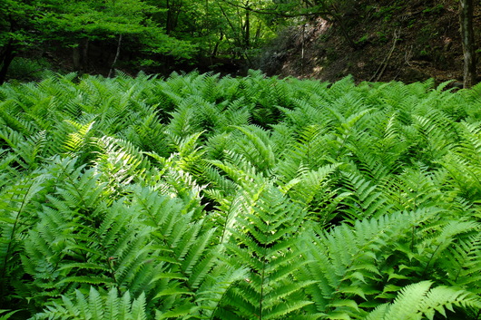 e0304001_19401473.jpg