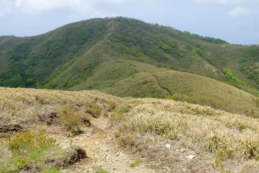 e0304001_19441141.jpg